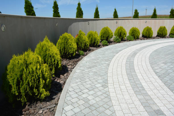 Best Commercial Driveway Pavers  in Honokaa, HI
